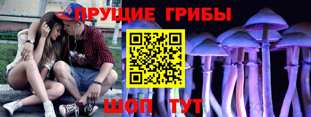 Пенза  Псилоцибиновые грибы GOLDEN TEACHER  Вход с VPN 