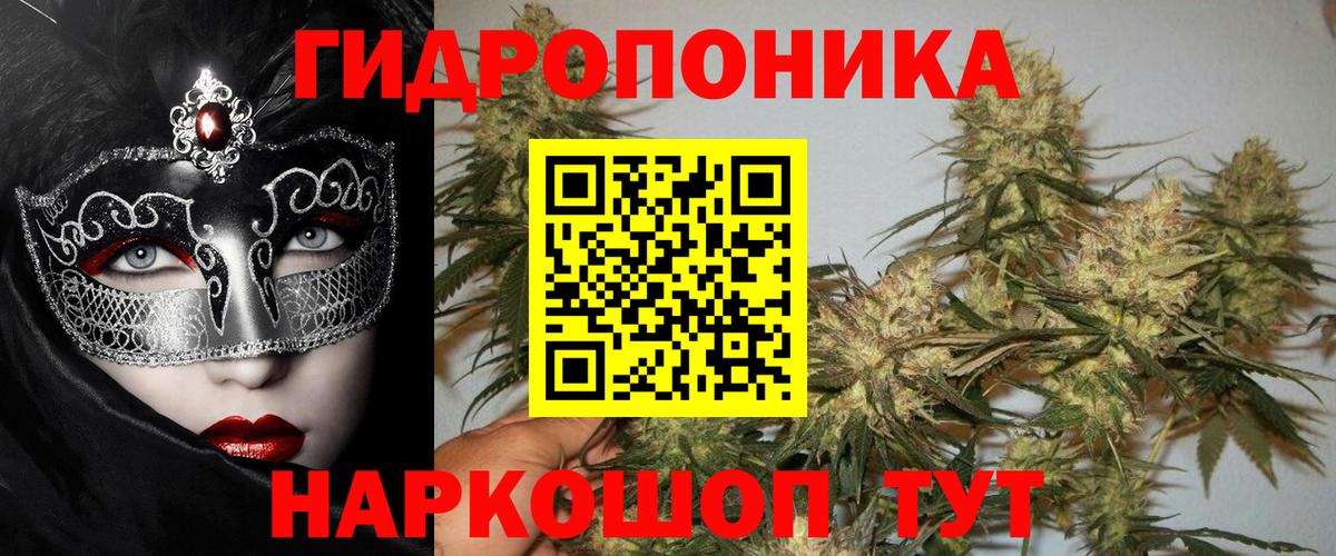Канабис White Widow  МАРИХУАНА сатива  Марихуана SATIVA & INDICA  Конопля VHQ  Пенза  Вход с VPN 